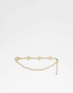 Aldo Accessories Adraswen