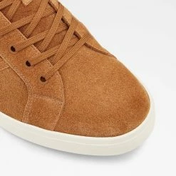 Aldo Binswood Trainers