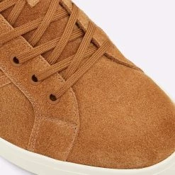 Aldo Binswood Trainers