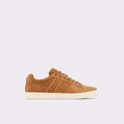 Aldo Binswood Trainers