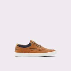 Aldo Bridleholme Trainers