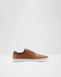 Aldo Dwain Trainers