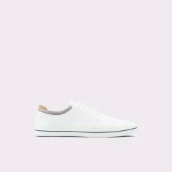 Aldo Dwain Trainers