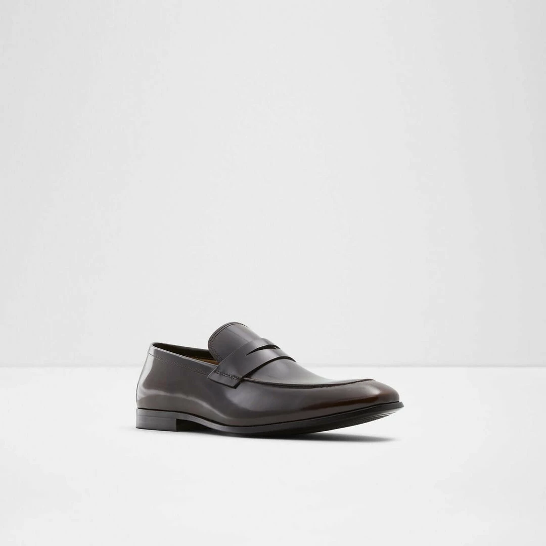 Aldo Dwerarien Loafers