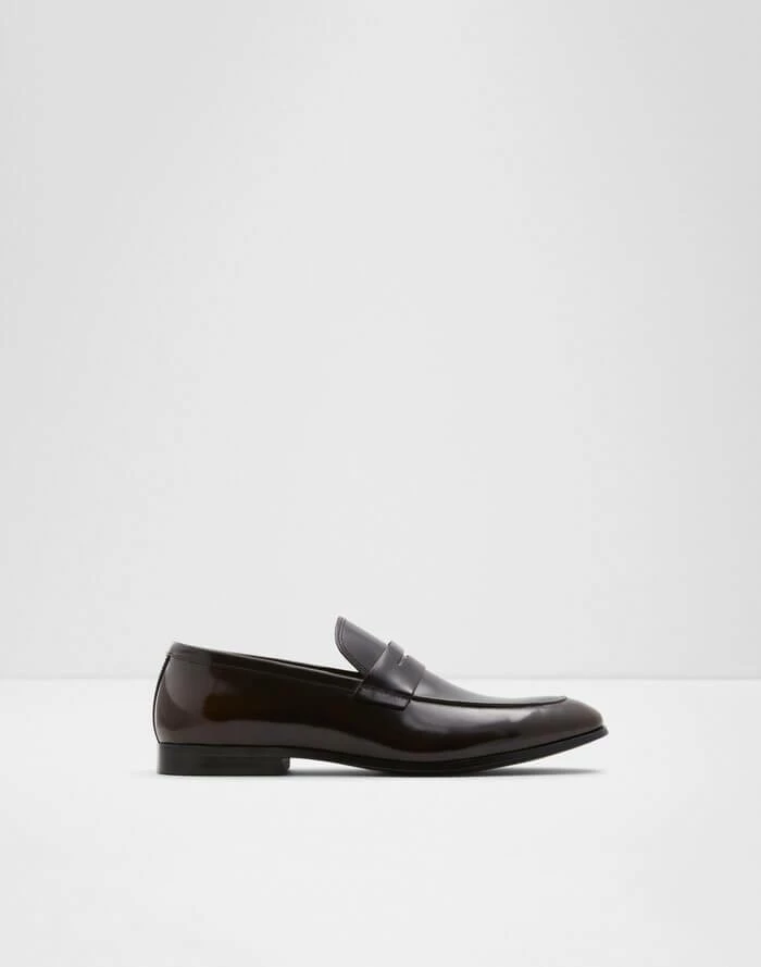 Aldo Dwerarien Loafers