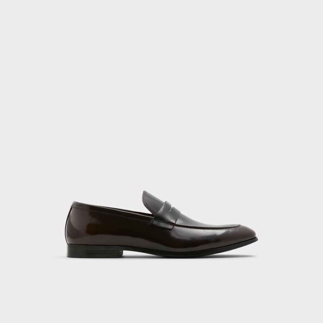 Aldo Dwerarien Loafers