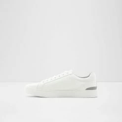 Aldo Eisingen Trainers