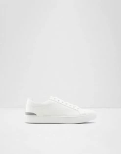 Aldo Eisingen Trainers