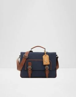 Aldo Accessories Gludia