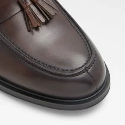 Aldo Igan Loafers