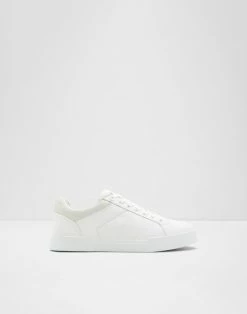 Aldo Kolbovic Trainers