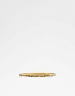 Aldo Orlon Accessories