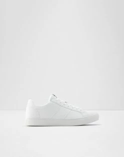 Aldo Pondia Trainers
