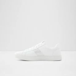 Aldo Pondia Trainers