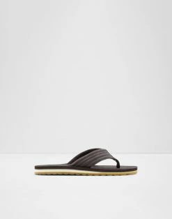 Aldo Proicien Sandals