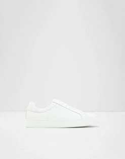 Aldo Saidreau Trainers