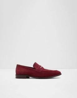 Aldo Loafers Spector