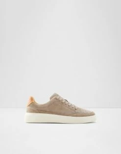 Aldo Trainers Wendawien