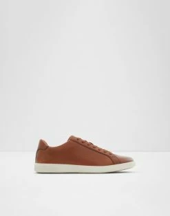 Aldo Wiresien Trainers